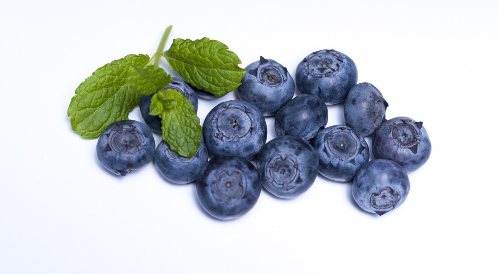 superfood blueberry