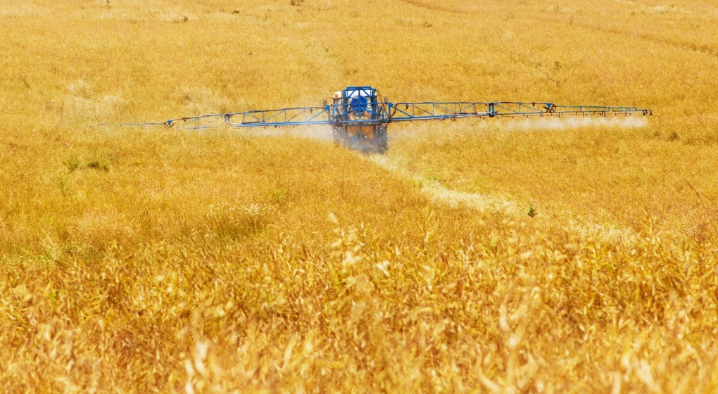 spraying pesticides on a wheat field